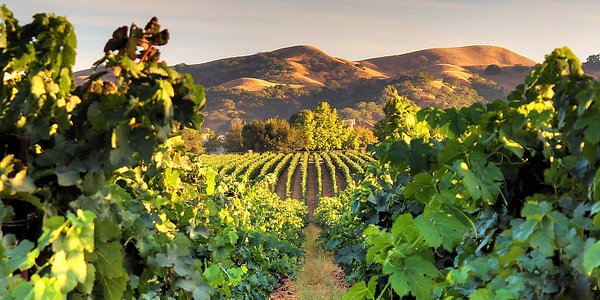 Livermore 2020: Best of Livermore, CA Tourism - Tripadvisor