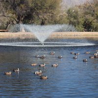 A fountain in the lake