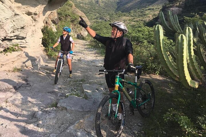 Mountain biking tours near me 2025
