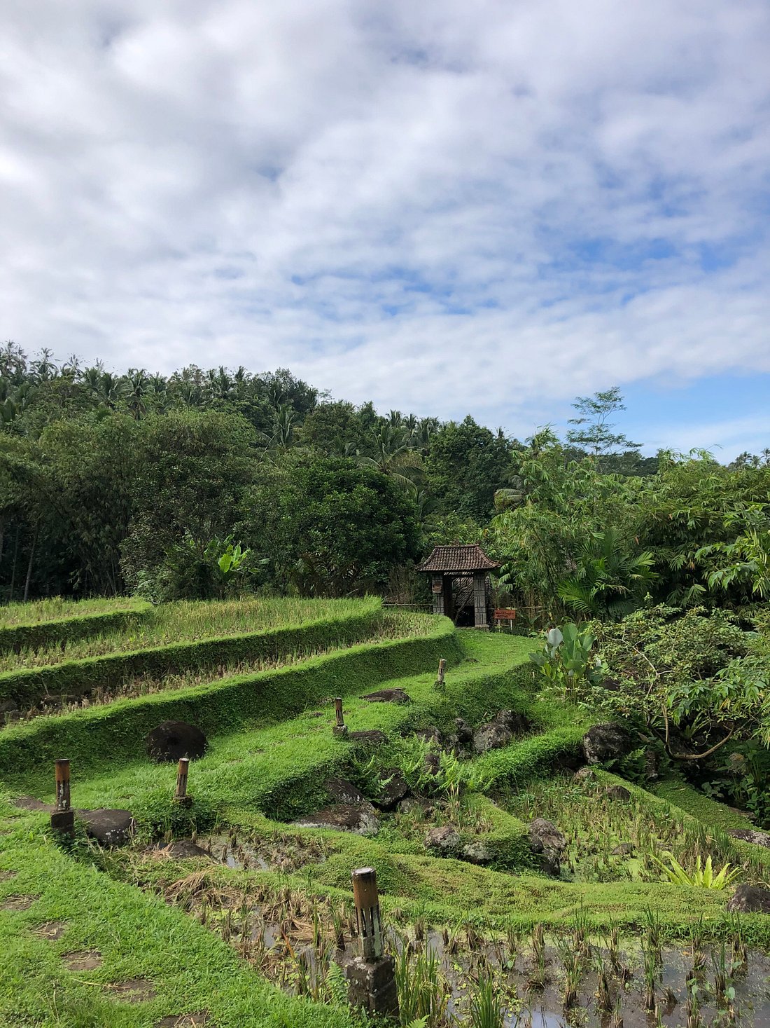 BALI ECO STAY BUNGALOWS (Бали) - отзывы, фото и сравнение цен - Tripadvisor