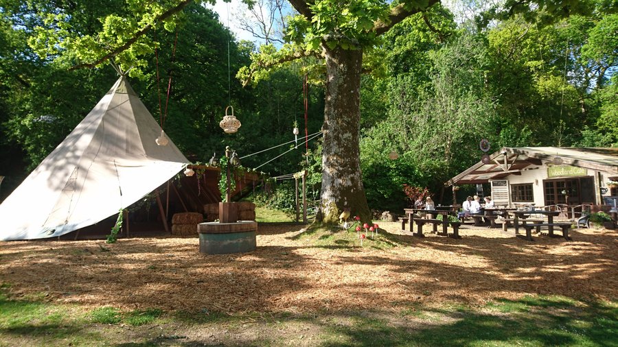 The Woodland Cafe, Liverton - 레스토랑 리뷰 - 트립어드바이저