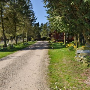 The Entrance