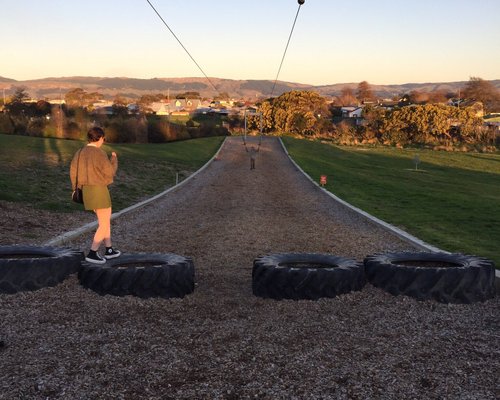 The 10 Best Things To Do In Palmerston North Tripadvisor