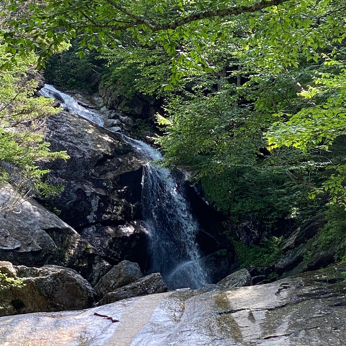 The Coppermine Trail And Bridal Veil Falls Franconia 21 All You Need To Know Before You Go Tours Tickets With Photos Tripadvisor