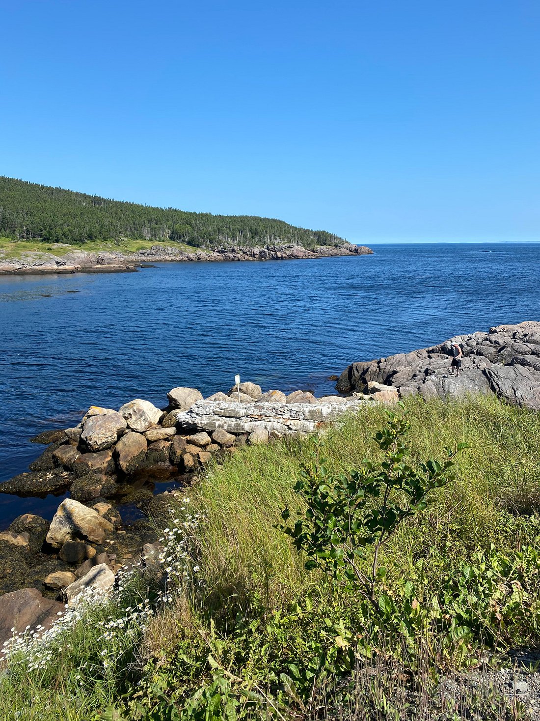 cottage-on-the-river-trouty-nl-lodging-reviews-trinity-newfoundland