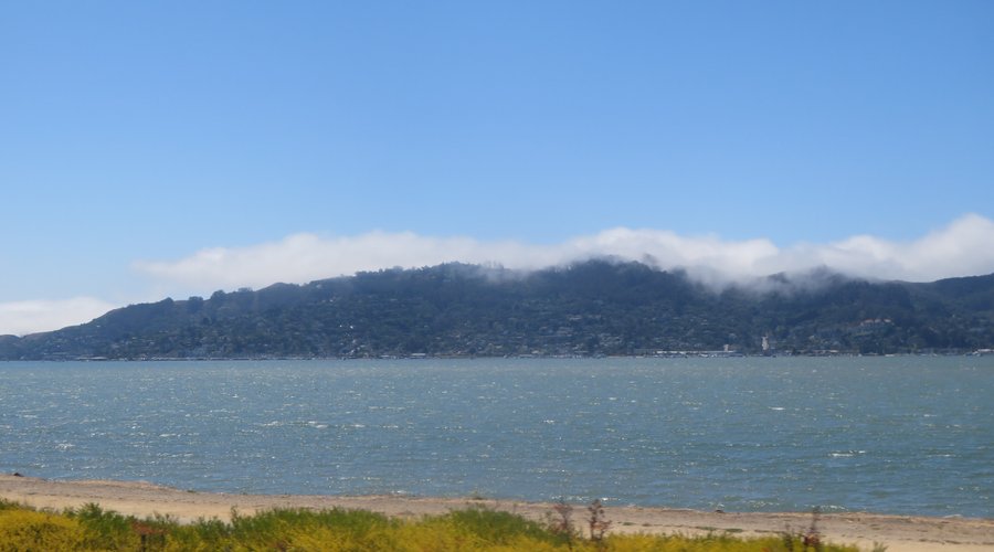 Shoreline Park, Tiburon, Ca