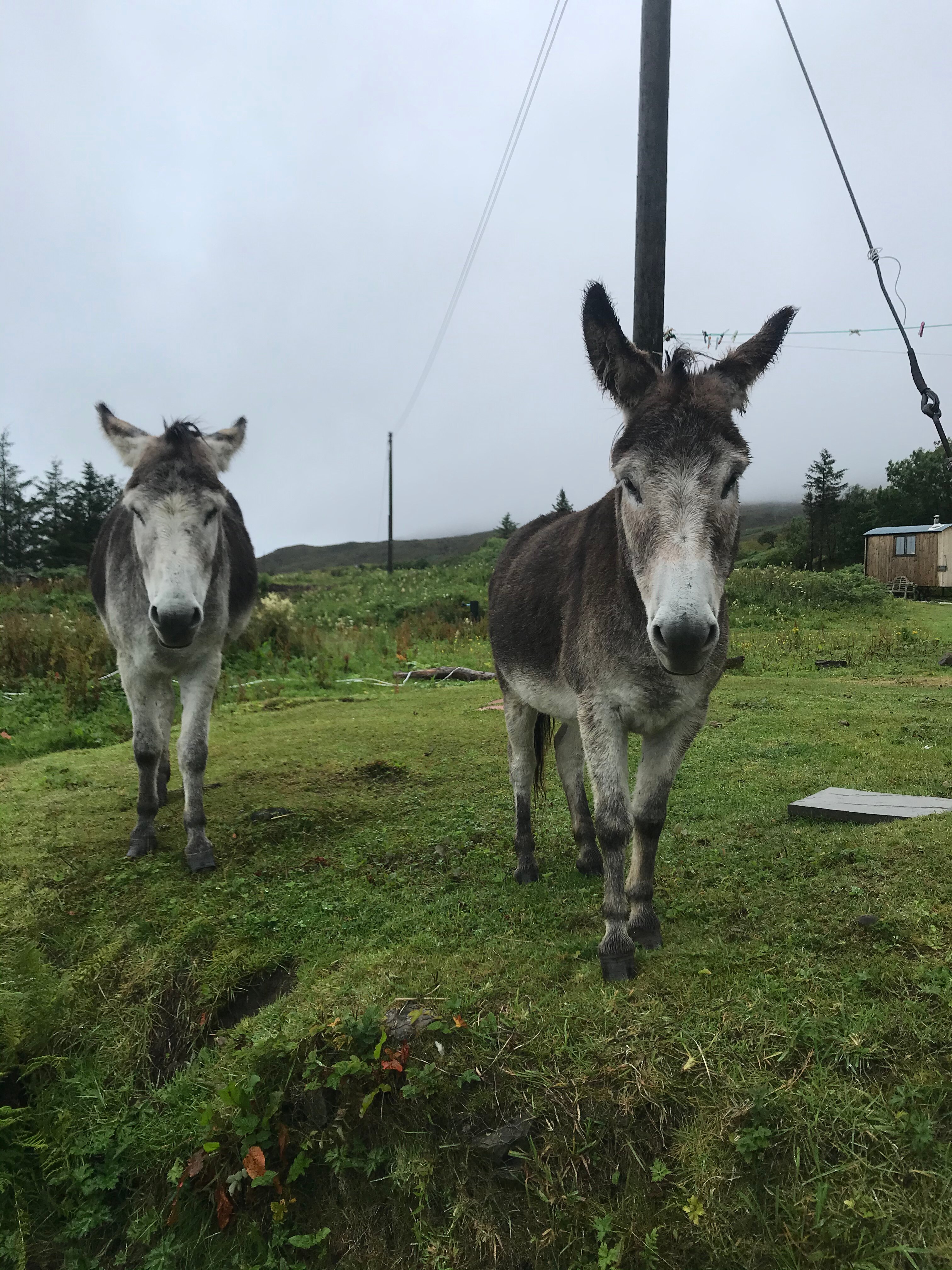 SKYE SHEPHERD HUTS (Heast) - Cottage Reviews & Photos - Tripadvisor