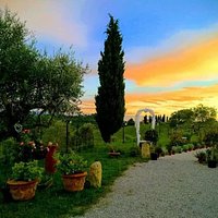 Ingresso del Ristorante