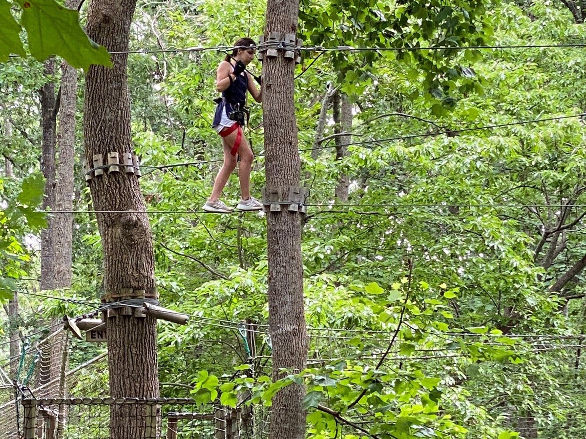 Treetops reopens at Paradise Park