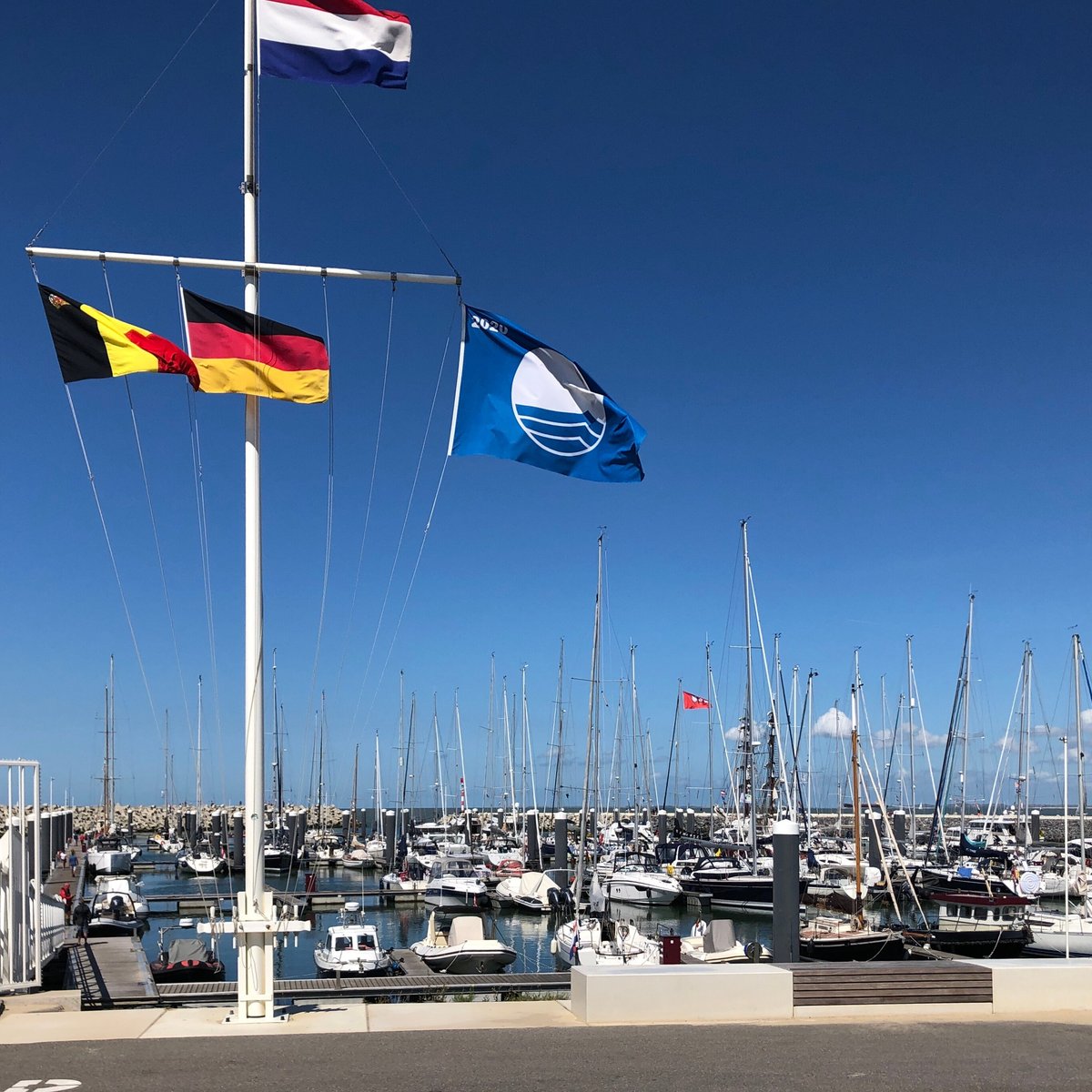 royal-yacht-club-belgie-cadzand-2021-all-you-need-to-know-before