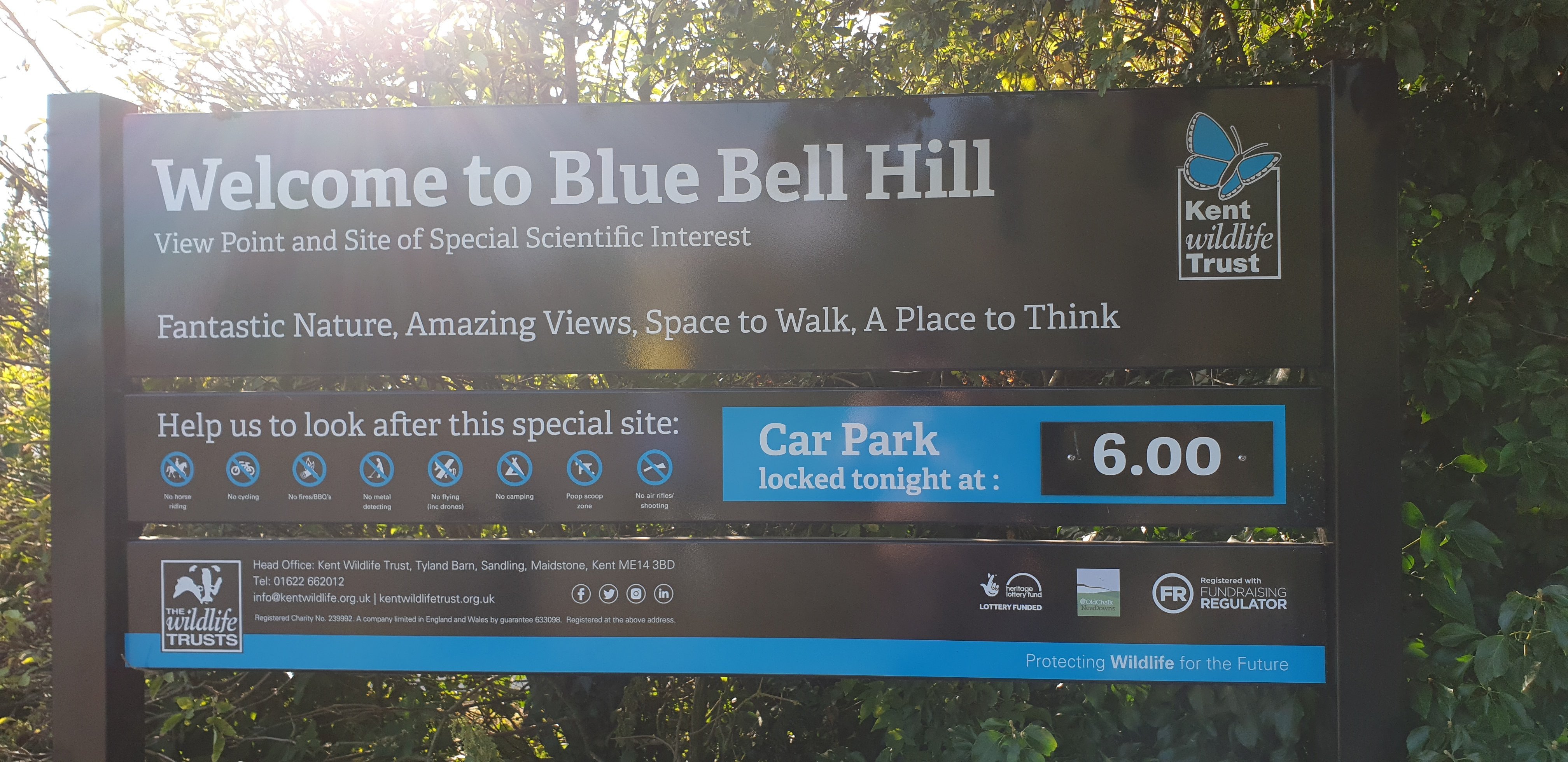 Bluebell Hill Picnic Site All You Need to Know BEFORE You Go 2024