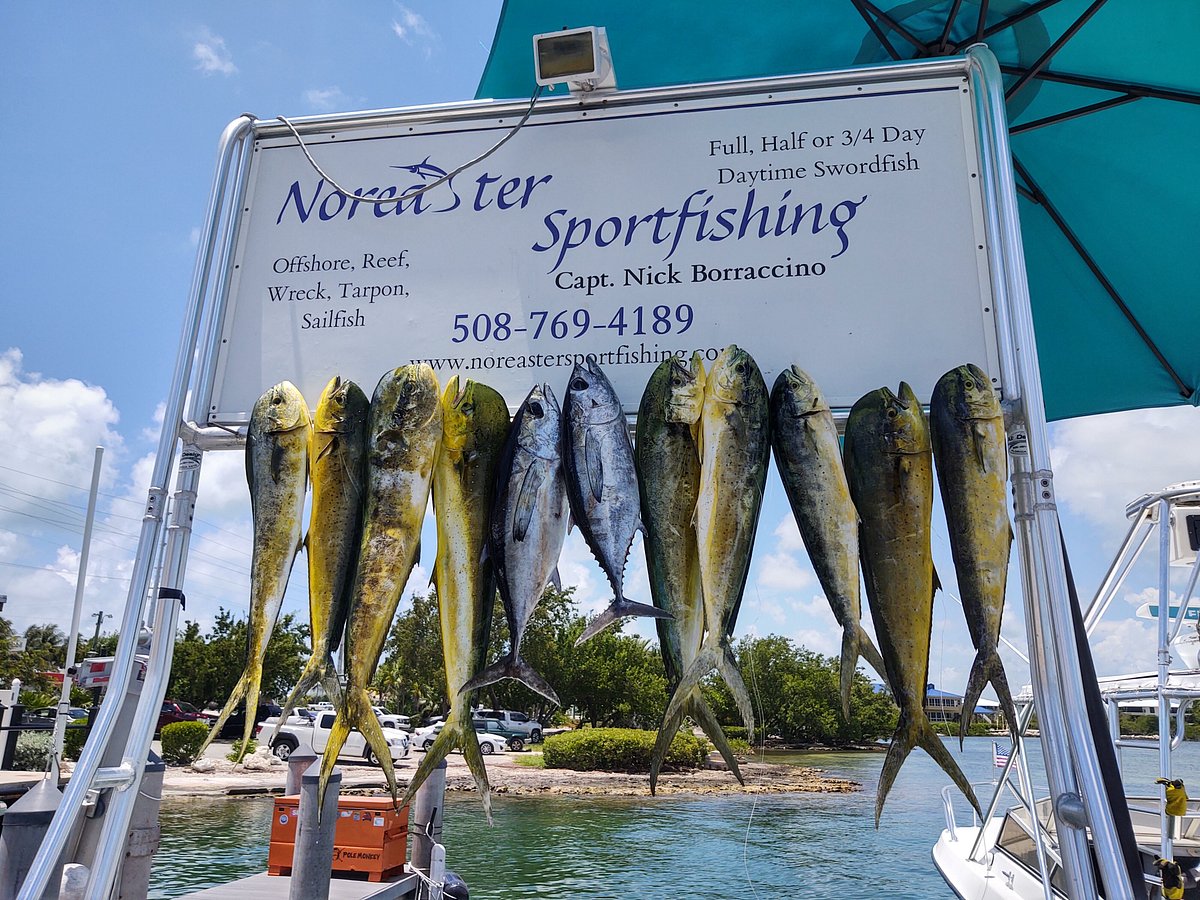 Top Spot - Upper Keys Area Florida Bay Area Fishing and Diving Recreat -  Andy Thornal Company