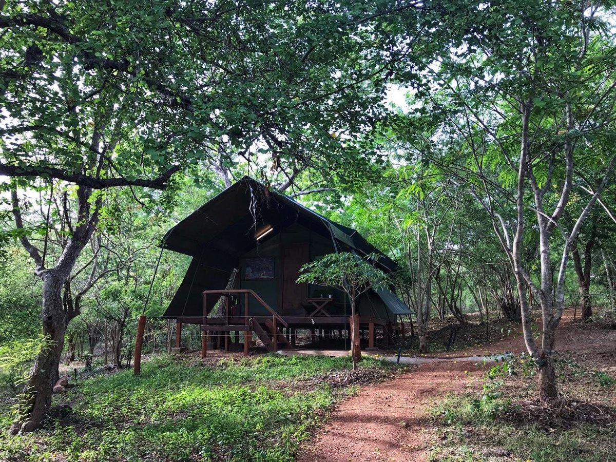 KULU SAFARIS SRI LANKA - Updated 2024 Reviews, Photos & Prices