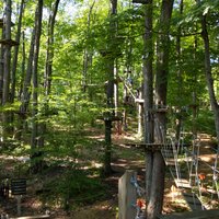 Sky High Aerial Adventure Park (Ellicottville) - All You Need to Know ...