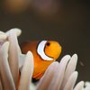 Aquarium La Rochelle