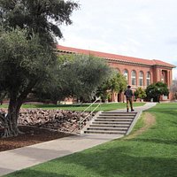 University of Arizona (Tucson) - All You Need to Know BEFORE You Go