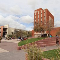 University of Arizona (Tucson) - All You Need to Know BEFORE You Go