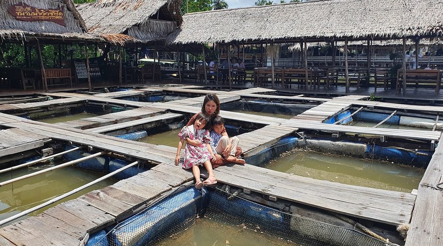 fish farm is part of the restaurant