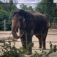 Denver zoo open thanksgiving