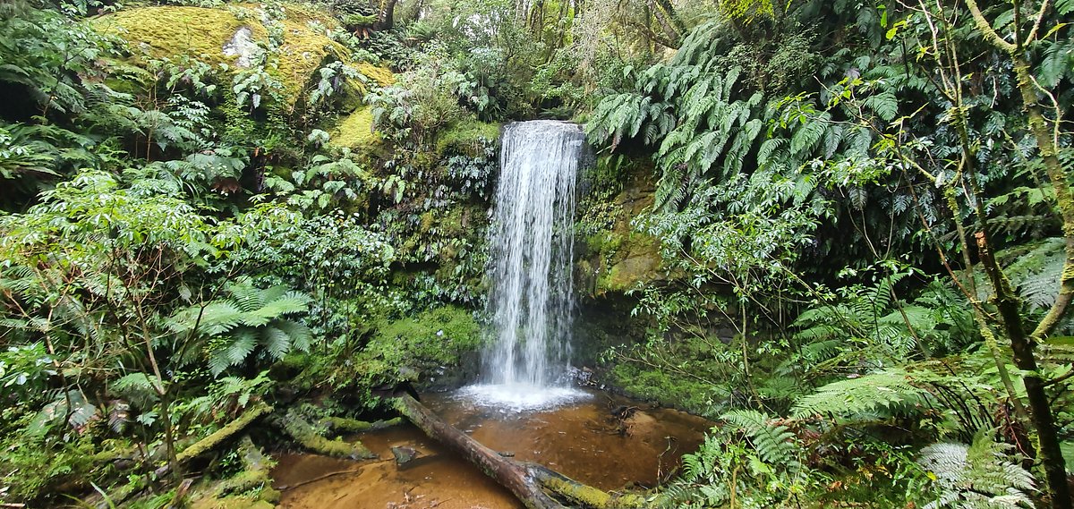 Koropuku Falls