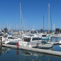 Ballena Isle Marina, Alameda, Ca