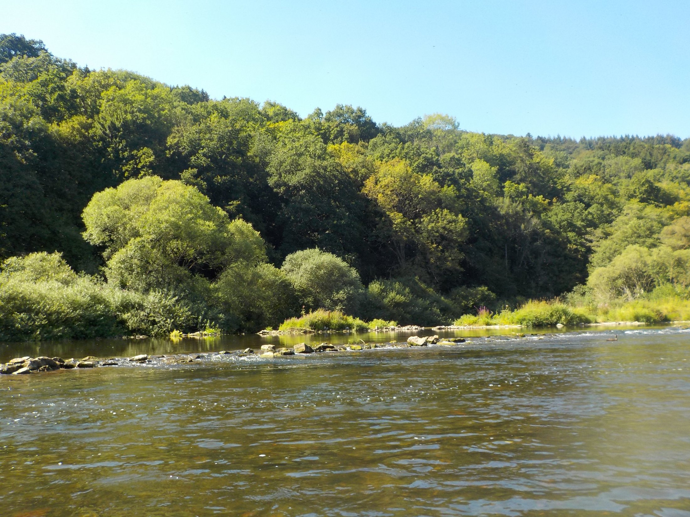 Ronns Bikes and Kayaks - Wallendorf Pont - Ronns Bikes and Kayaks의 리뷰 - 트립어드바이저