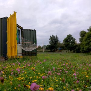 Surprising fresh Summertime 