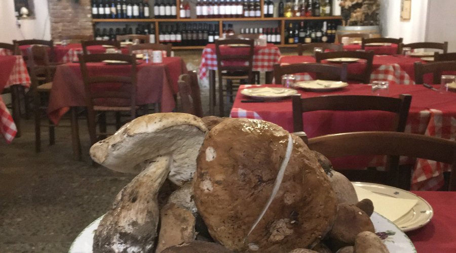 Non perdete la nostra selezione di funghi porcini freschi