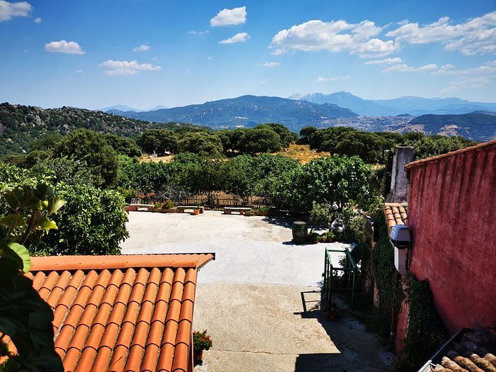 AGRITURISMO COSTIOLU - Prices & Farmhouse Reviews (Ollolai, Italy)