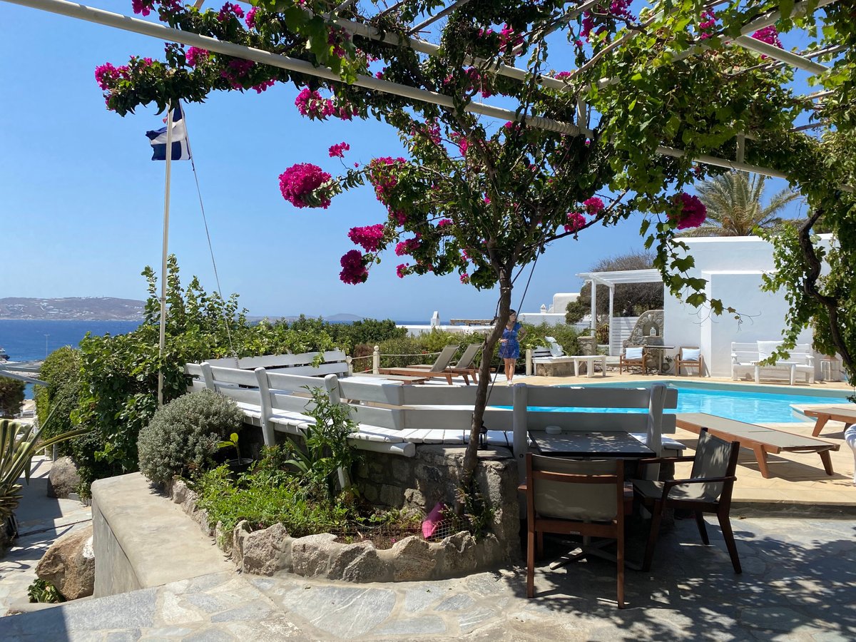 RHENIA MYKONOS - Updated 2024 Prices & Hotel Reviews (Greece)