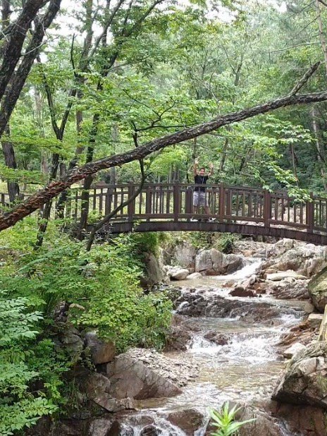 Busan Healing Forest - 2022 What to Know Before You Go (with Photos ...