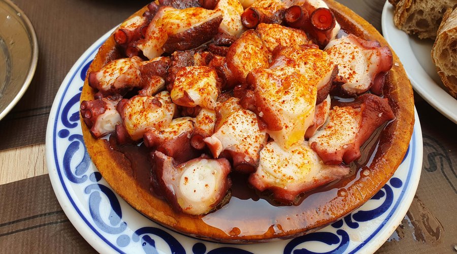 Pulpo
