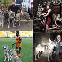 Watermill Wolves filming with the stars - Josh Hartnett, Lara Stone, Bill Bailey