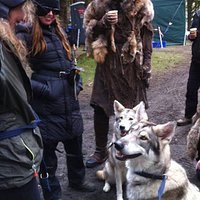 Watermill Wolves in the set of Vikings