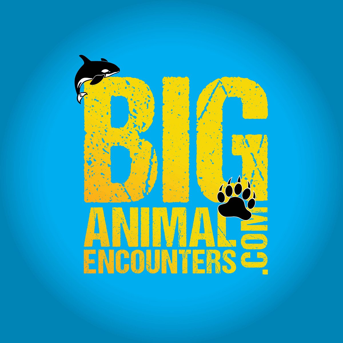 BIG ANIMAL ENCOUNTERS (Campbell River) - 2023 What to Know BEFORE You Go