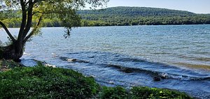 Welcome to Otsego Lake, where anything's possible anywhere