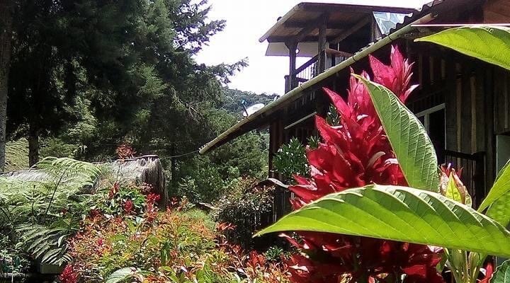 Cabaña La Isla, el lugar ideal para el encuentro con la naturaleza. 