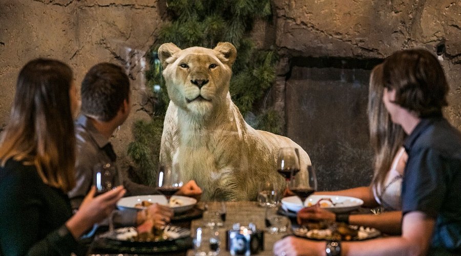 Lion Dinig