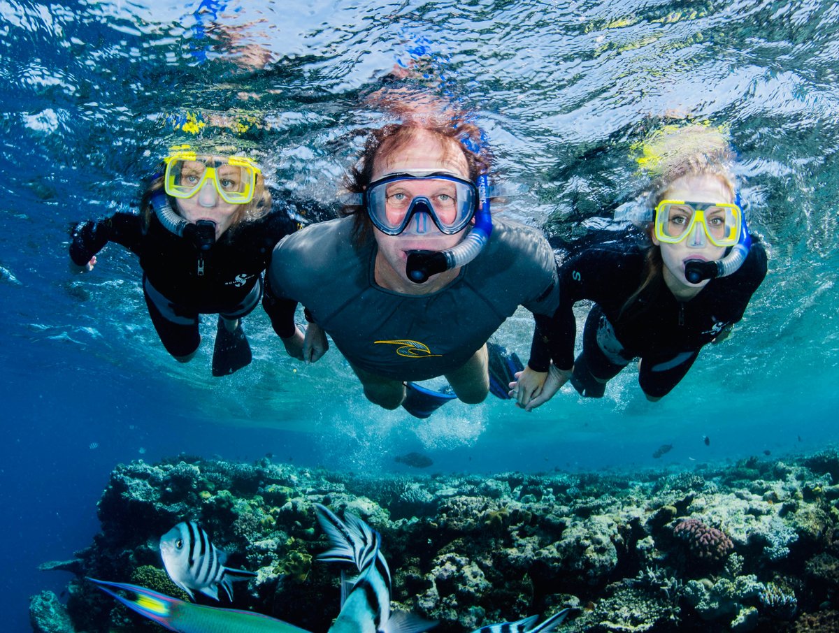 Abc Snorkel Charters (Port Douglas) - All You Need to Know BEFORE You Go