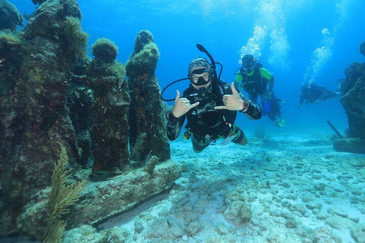 caribbean safaris scuba diving cancun