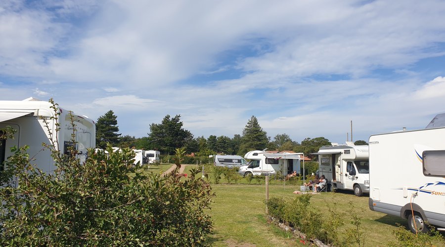 Pitches on the campsite at Deepdale Backpackers & Camping