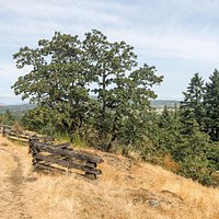 Oak Haven Park