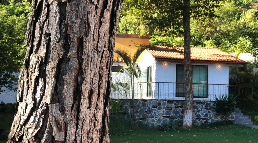 Nuestras habitaciones son un refugio en medio de la naturaleza.