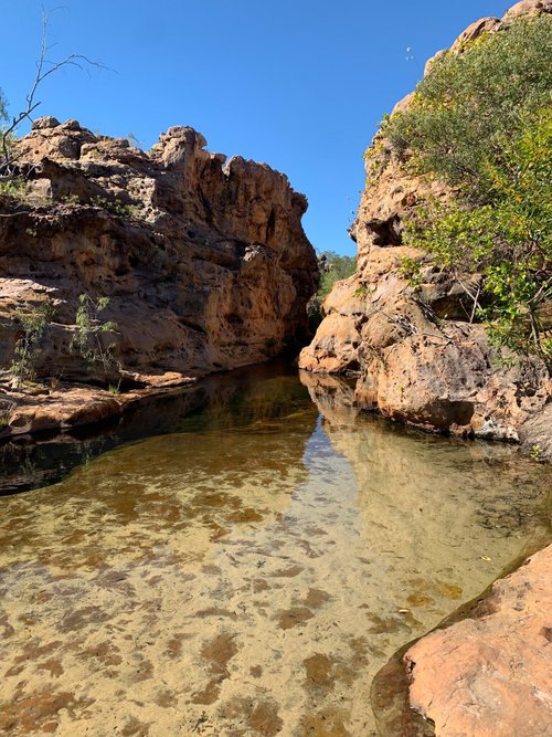 LORELLA SPRINGS WILDERNESS PARK - Hotel Reviews (Borroloola, Australia)