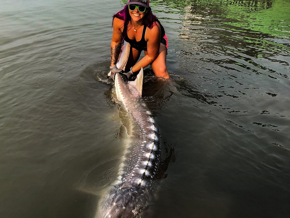 Fraser River Sturgeon - How to Catch a 50-Year-Old Virgin Sturgeon - Wander  Woman Travel Magazine