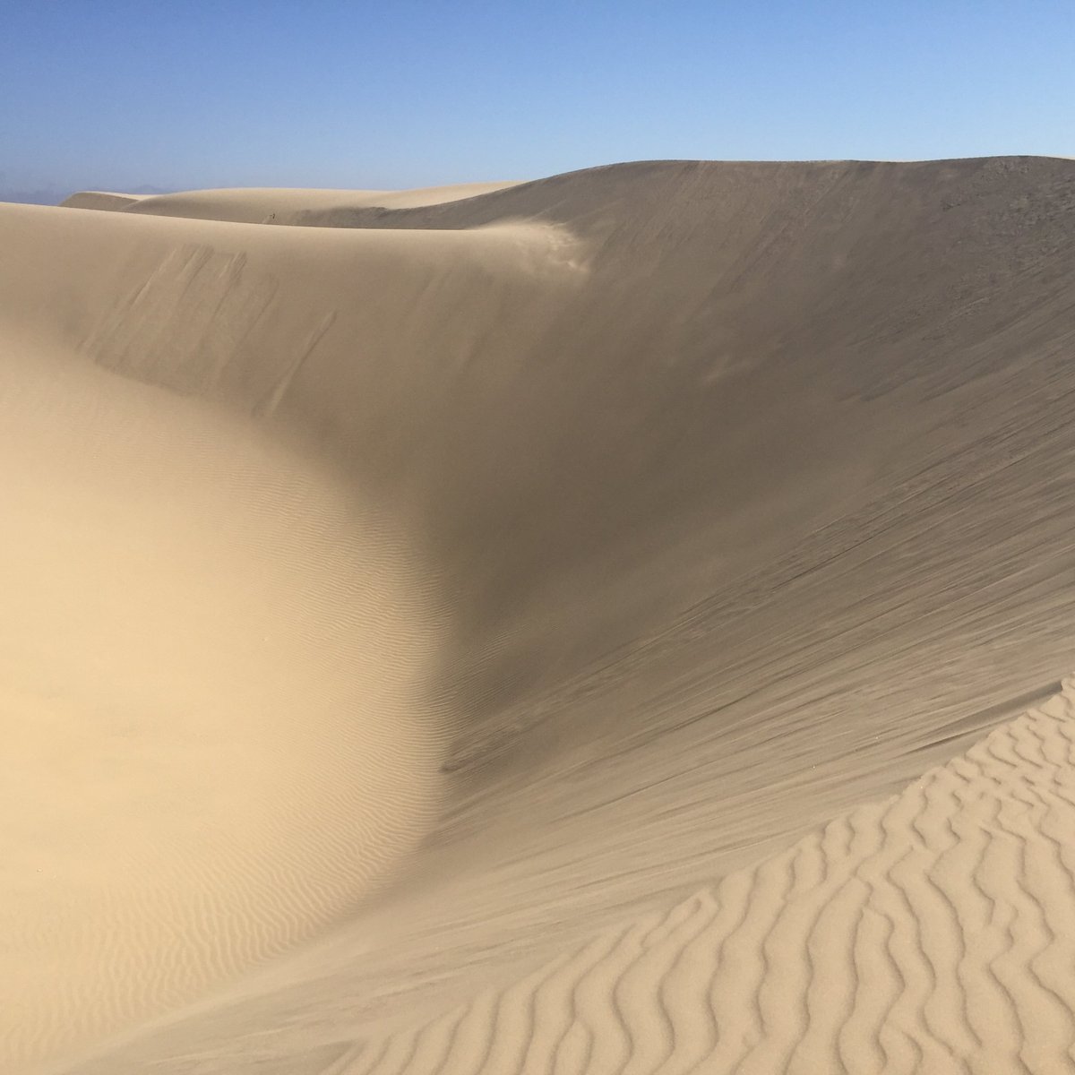 OCEANO DUNES NATURAL PRESERVE - All You Need to Know BEFORE You Go