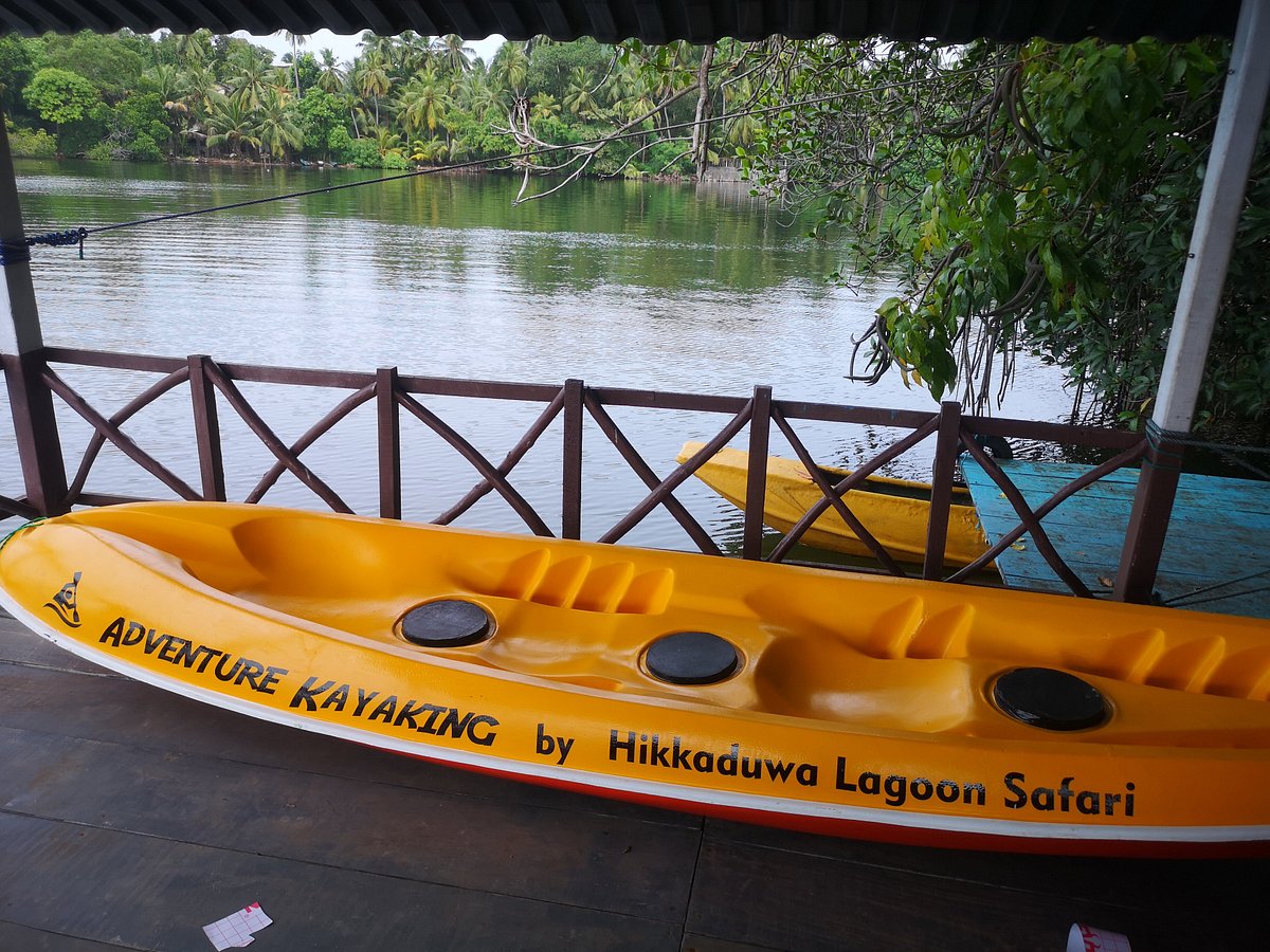 blue lagoon kayak tour