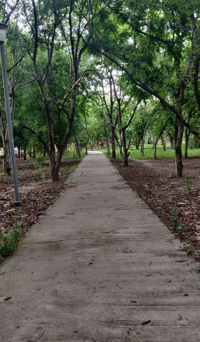 Town Park (Faridabad) - All You Need to Know BEFORE You Go