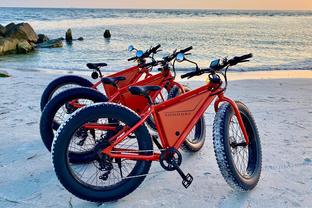 Tampa Bay eBikes, LLC - All You Need to Know BEFORE You Go (2024)