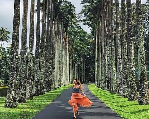 The 10 Best Day Trips From Kandy 21 With Photos Tripadvisor The 10 Best Day Trips From Kandy 21 With Photos Tripadvisor